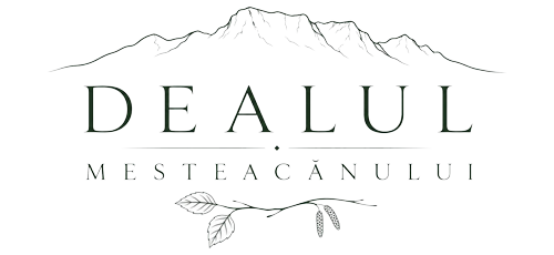 Domeniul Dealul Mesteacănului