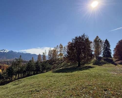 domeniul dealul mesteacanului Bran, Brasov 2
