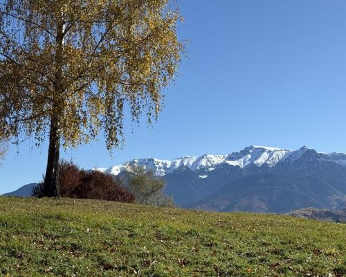 teren Bran 3