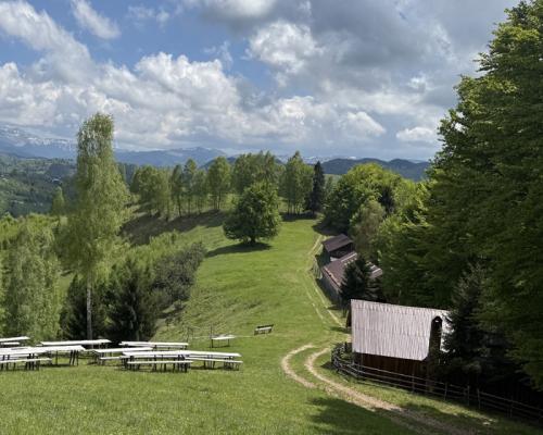 terne de vanzare Bran 2